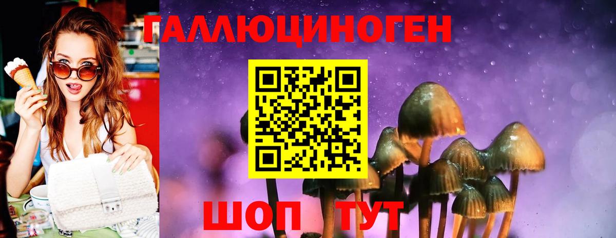 Галлюциногенные грибы GOLDEN TEACHER  Вход с VPN  цена наркотик  Арсеньев 